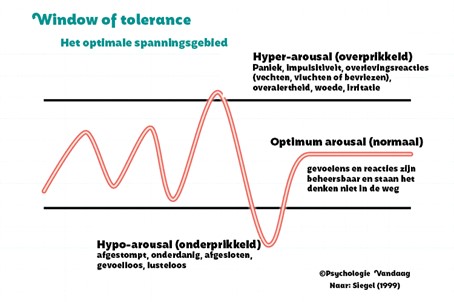 Afbeelding window of tolerance