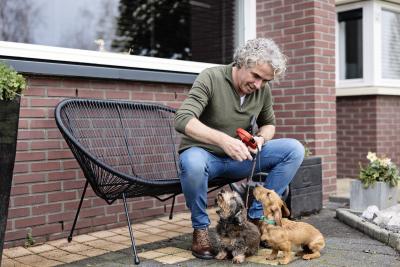 Foto Leon in de tuin met zijn honden