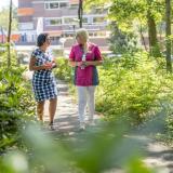 Afbeelding medewerkers Quarijn aan het wandelen